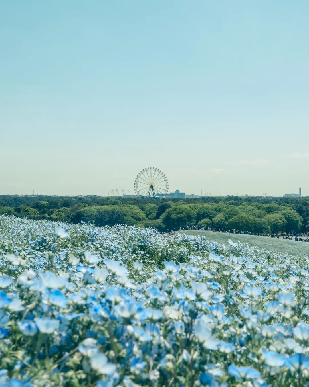 Skyline in Blue