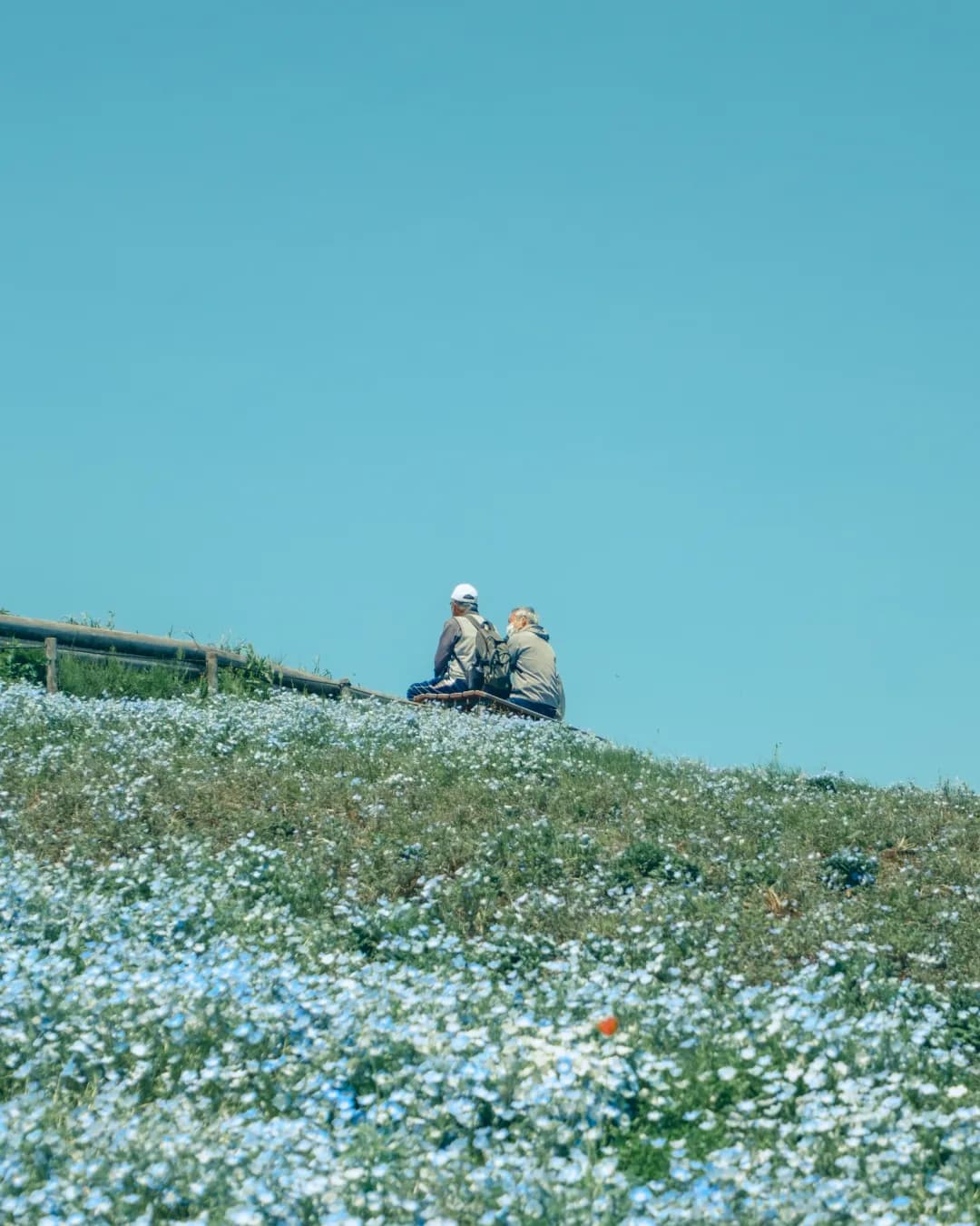 Sitting Among the Blue
