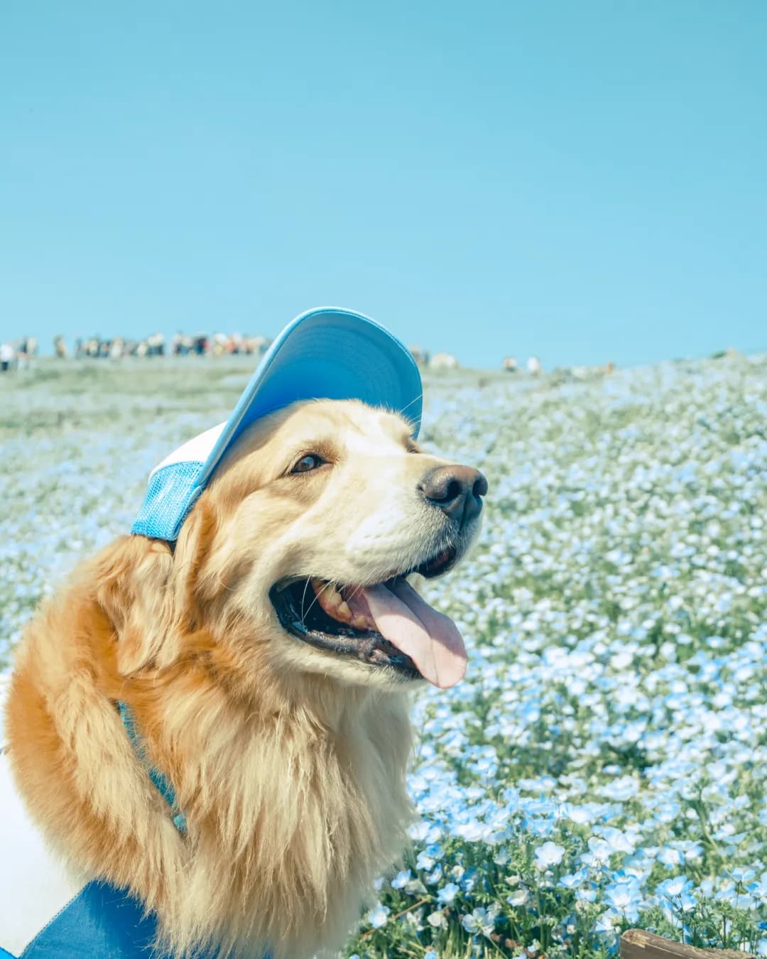 Ready for Spring